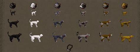 osrs kitten ran off.